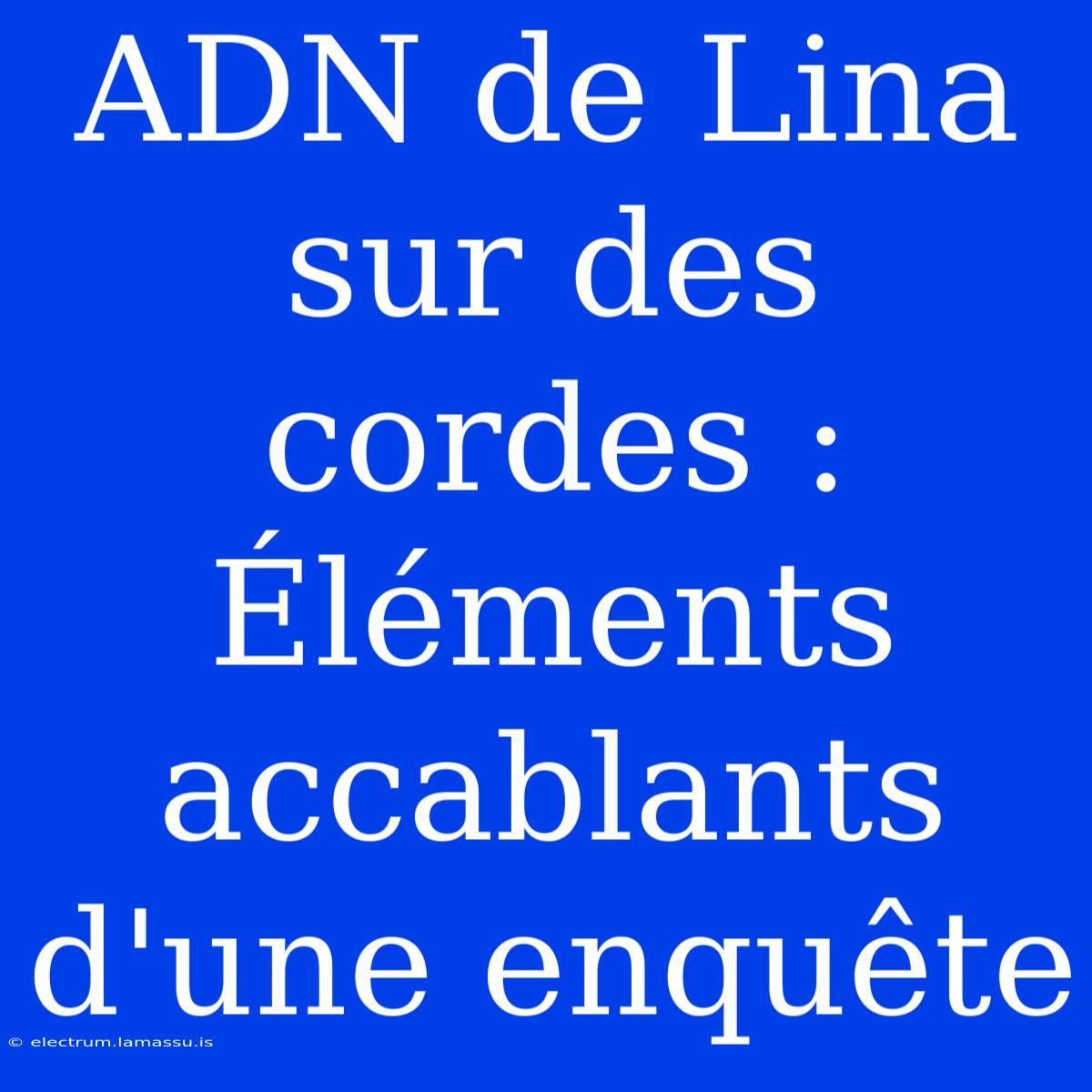 ADN De Lina Sur Des Cordes : Éléments Accablants D'une Enquête