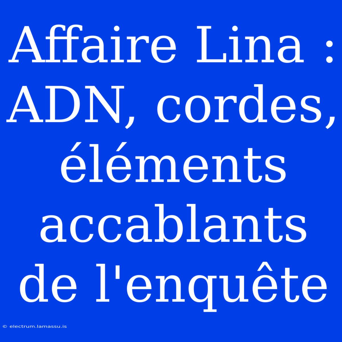 Affaire Lina : ADN, Cordes, Éléments Accablants De L'enquête