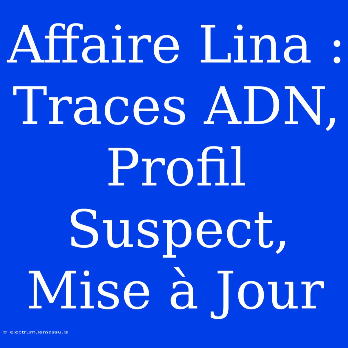 Affaire Lina : Traces ADN, Profil Suspect, Mise À Jour