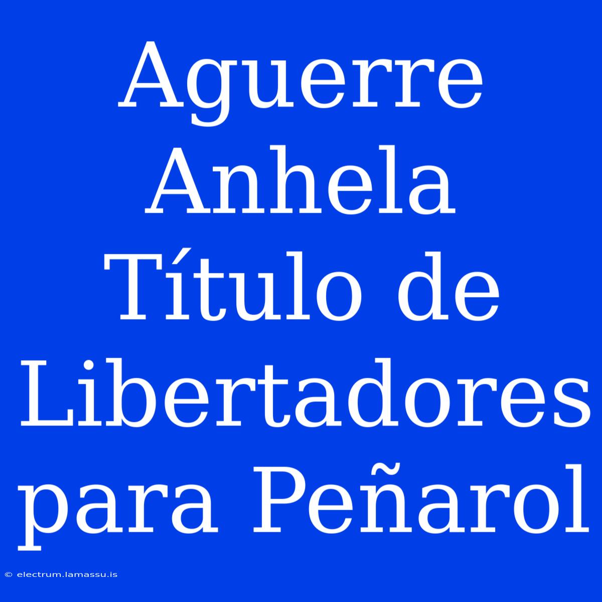 Aguerre Anhela Título De Libertadores Para Peñarol