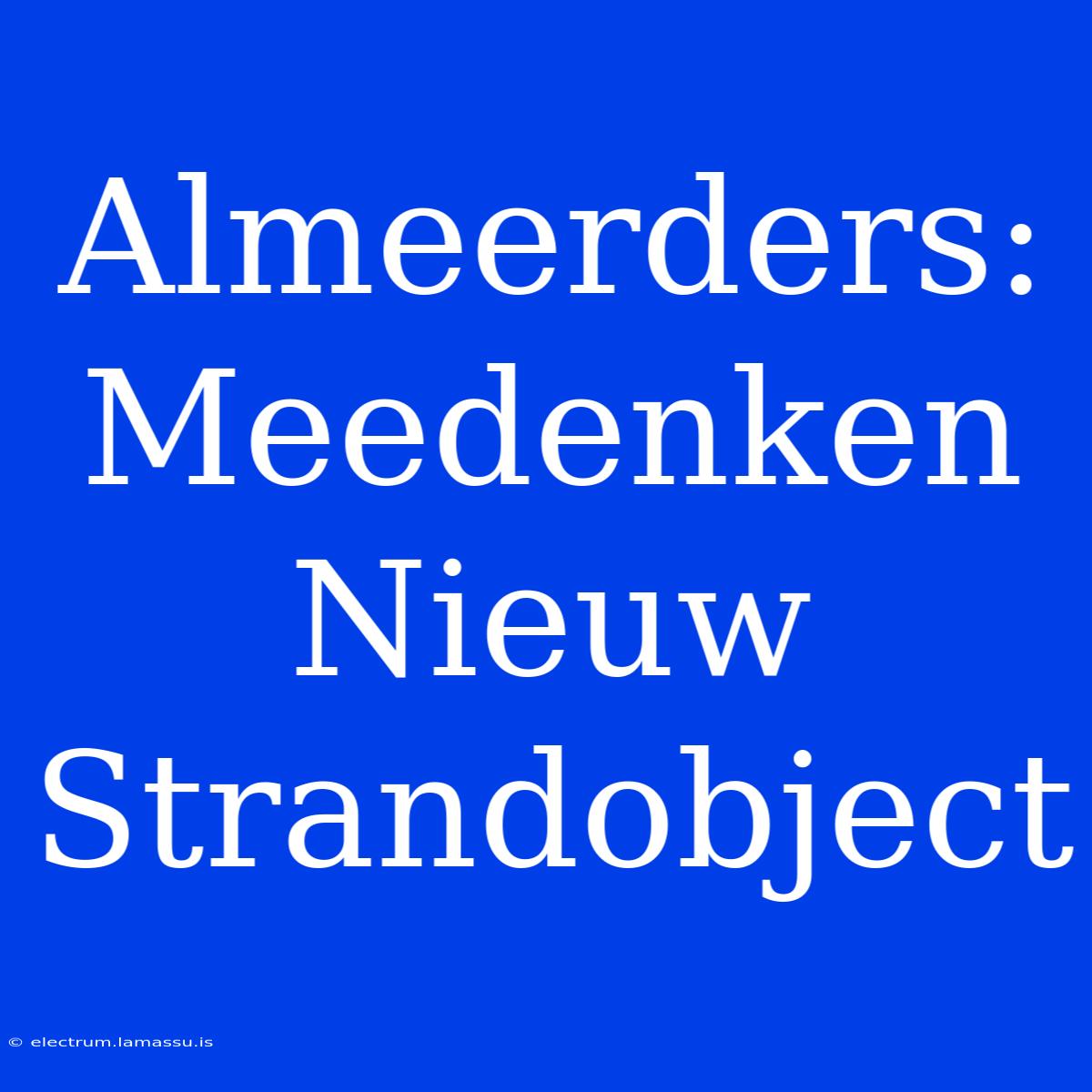 Almeerders:  Meedenken Nieuw Strandobject