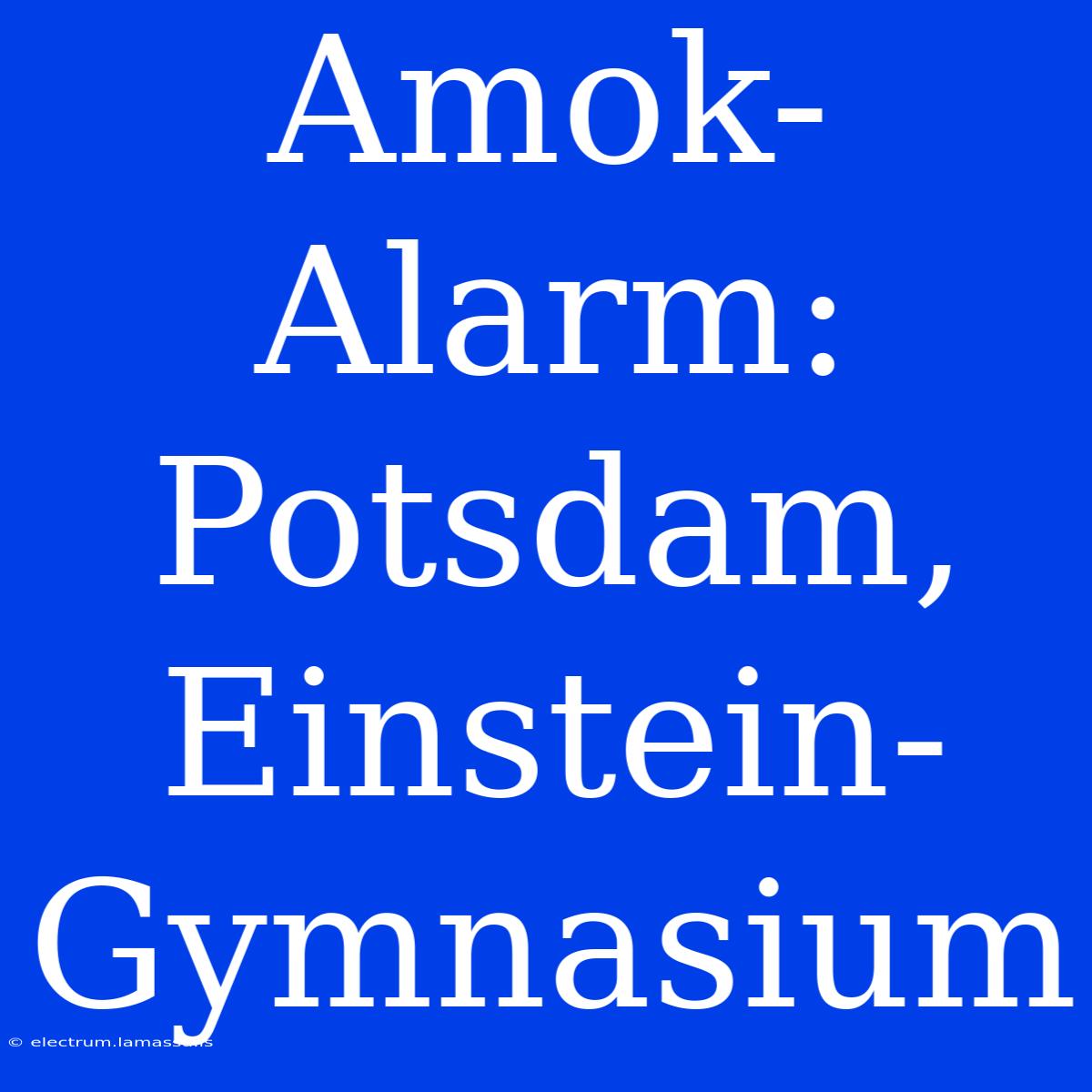 Amok-Alarm:  Potsdam, Einstein-Gymnasium