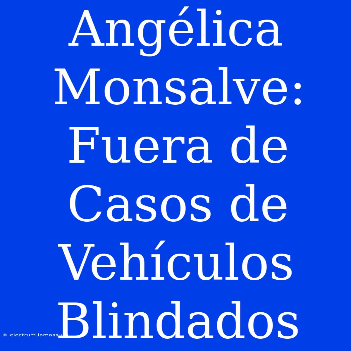 Angélica Monsalve: Fuera De Casos De Vehículos Blindados