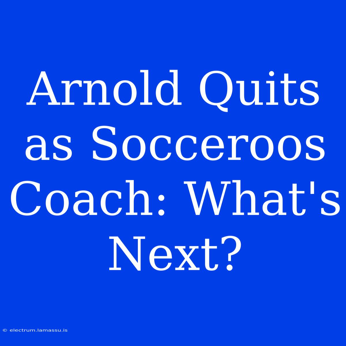 Arnold Quits As Socceroos Coach: What's Next?