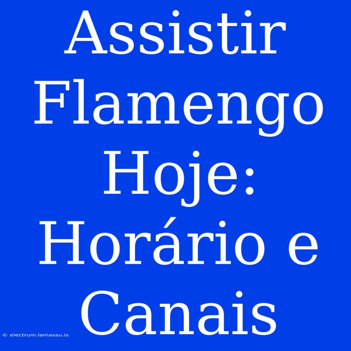 Assistir Flamengo Hoje: Horário E Canais