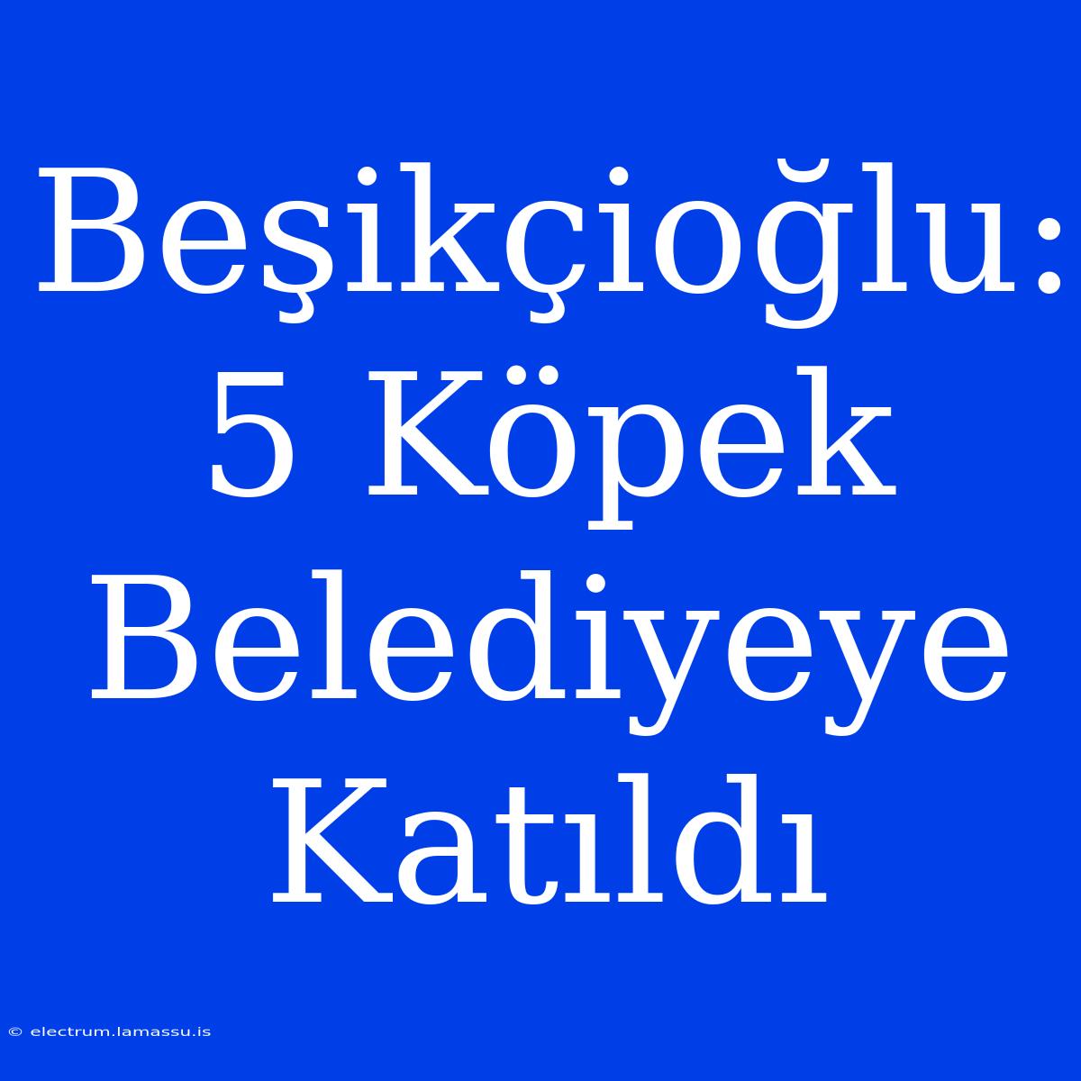 Beşikçioğlu: 5 Köpek Belediyeye Katıldı