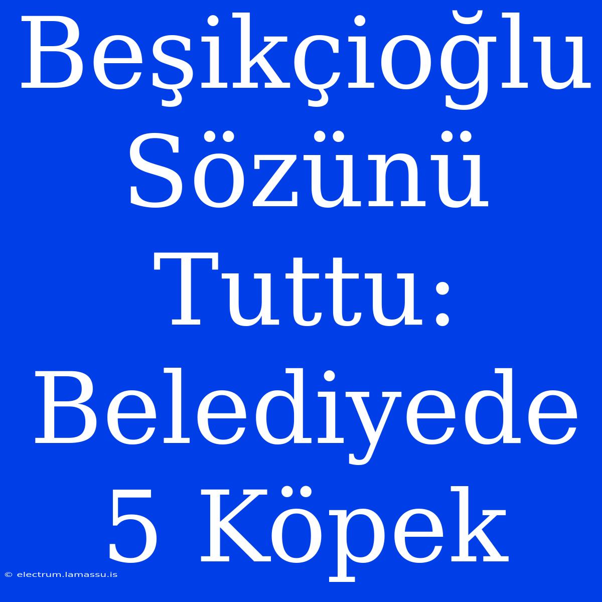 Beşikçioğlu Sözünü Tuttu: Belediyede 5 Köpek