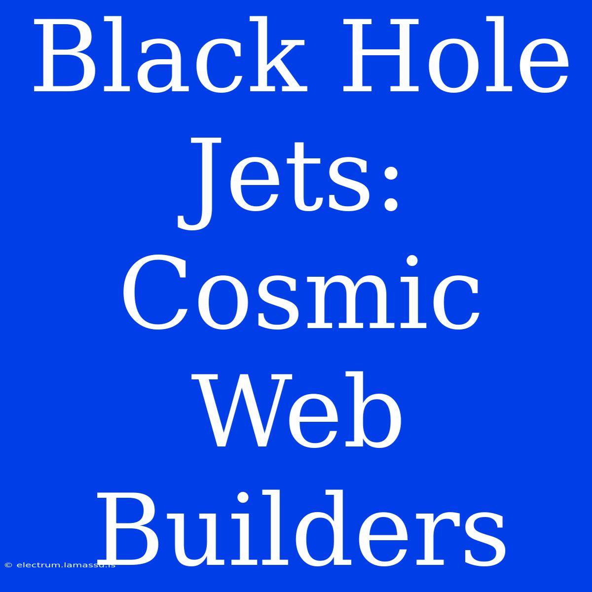 Black Hole Jets: Cosmic Web Builders