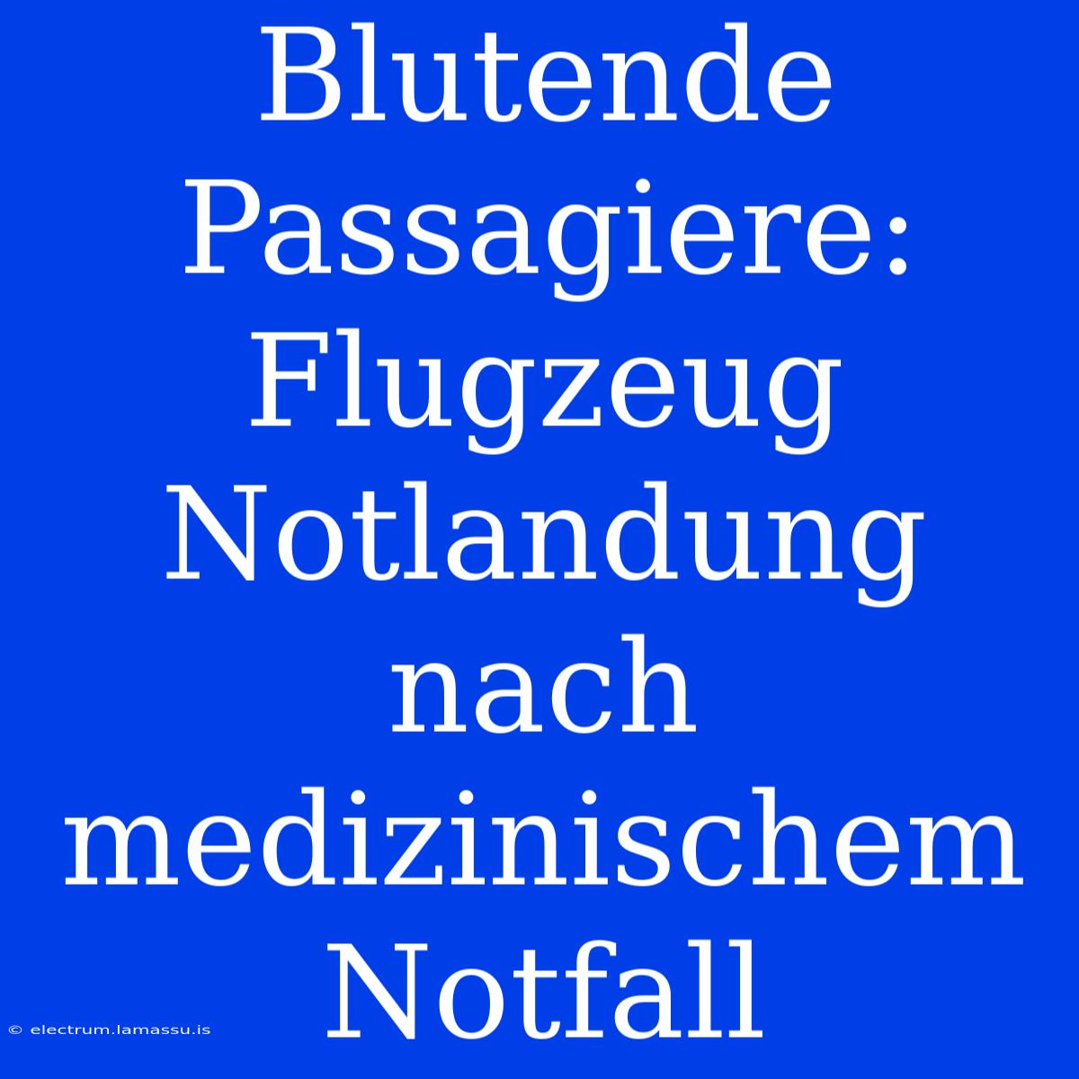 Blutende Passagiere: Flugzeug Notlandung Nach Medizinischem Notfall