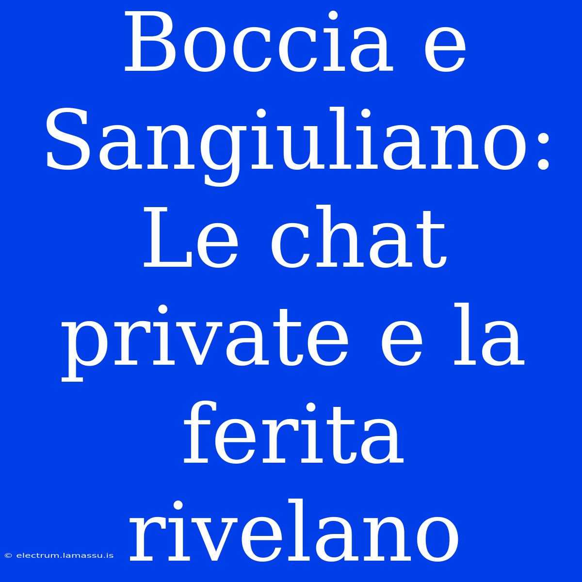 Boccia E Sangiuliano: Le Chat Private E La Ferita Rivelano