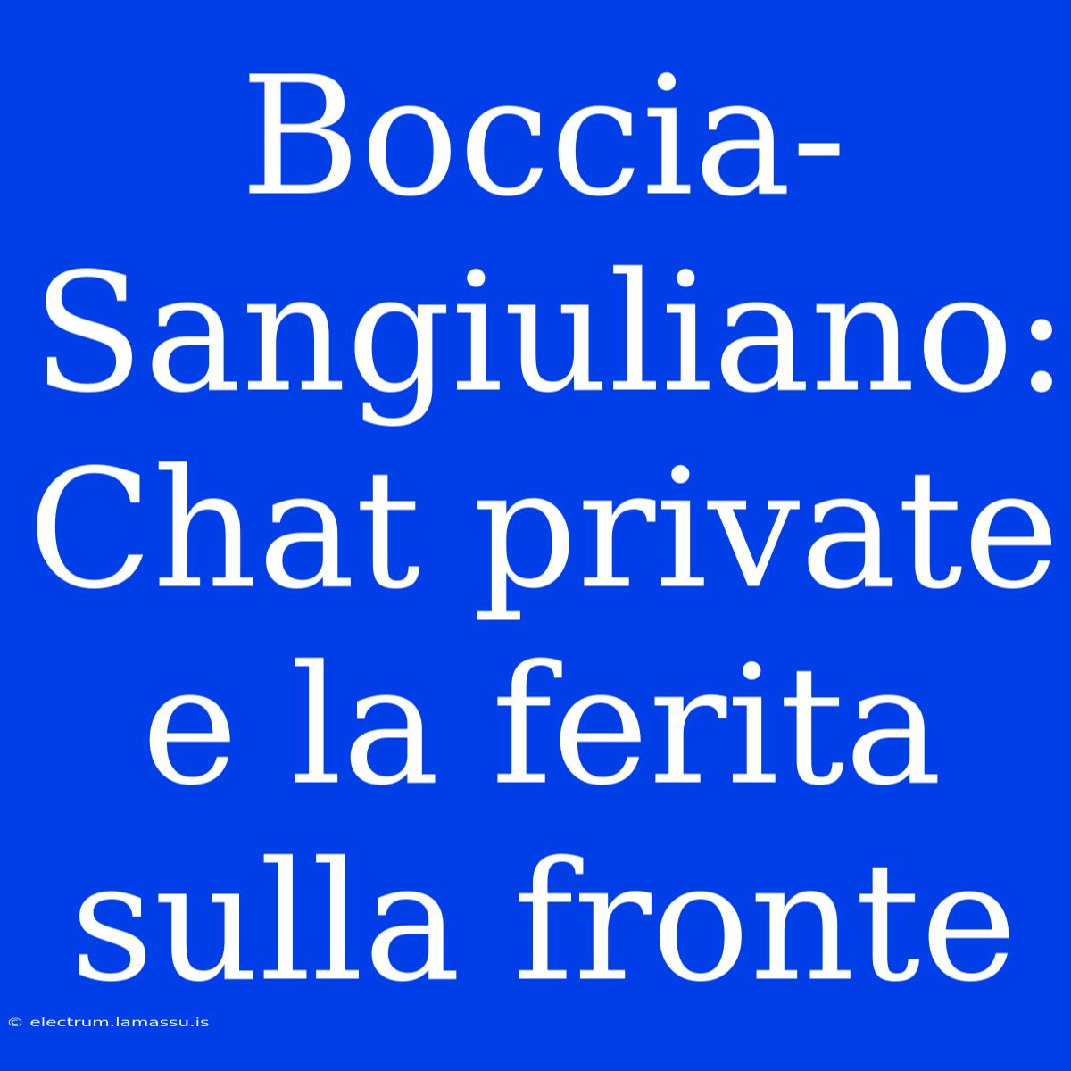 Boccia-Sangiuliano: Chat Private E La Ferita Sulla Fronte