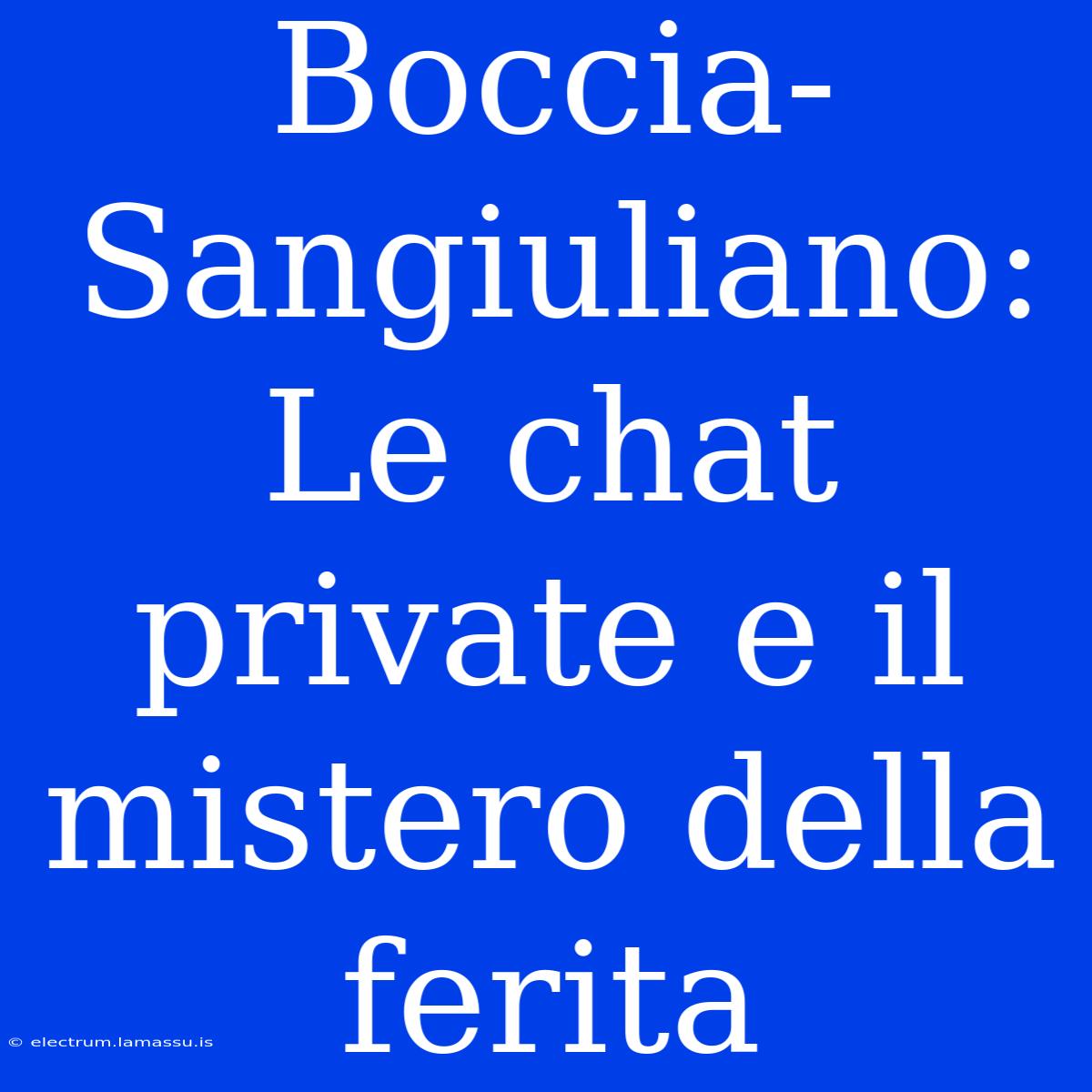 Boccia-Sangiuliano: Le Chat Private E Il Mistero Della Ferita