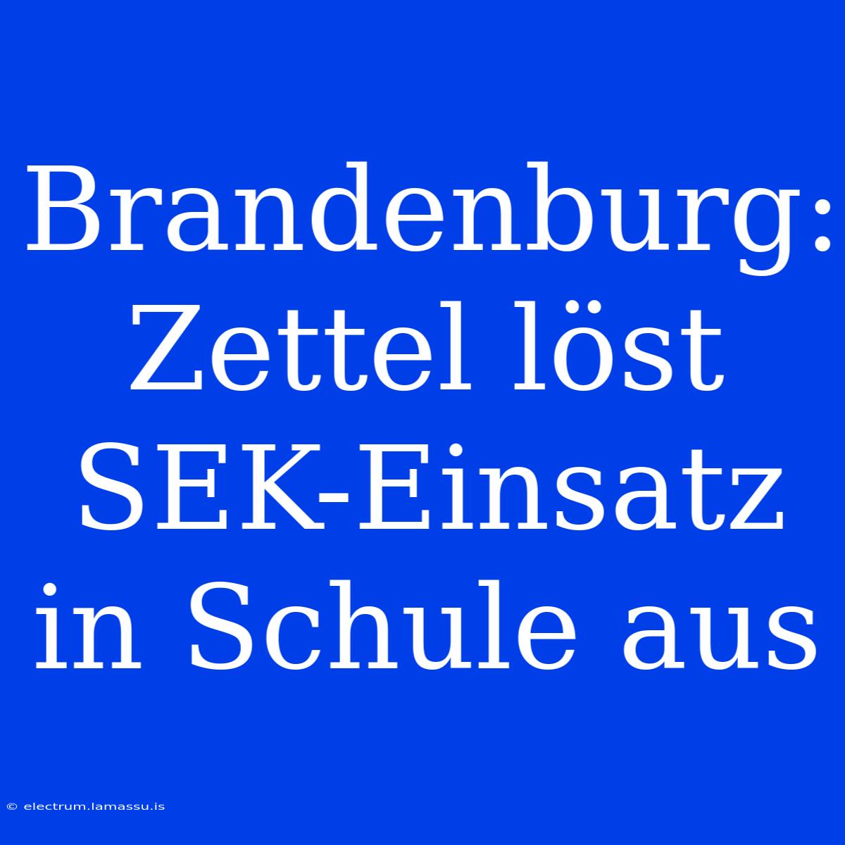 Brandenburg: Zettel Löst SEK-Einsatz In Schule Aus