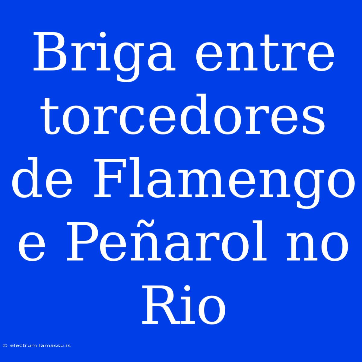 Briga Entre Torcedores De Flamengo E Peñarol No Rio