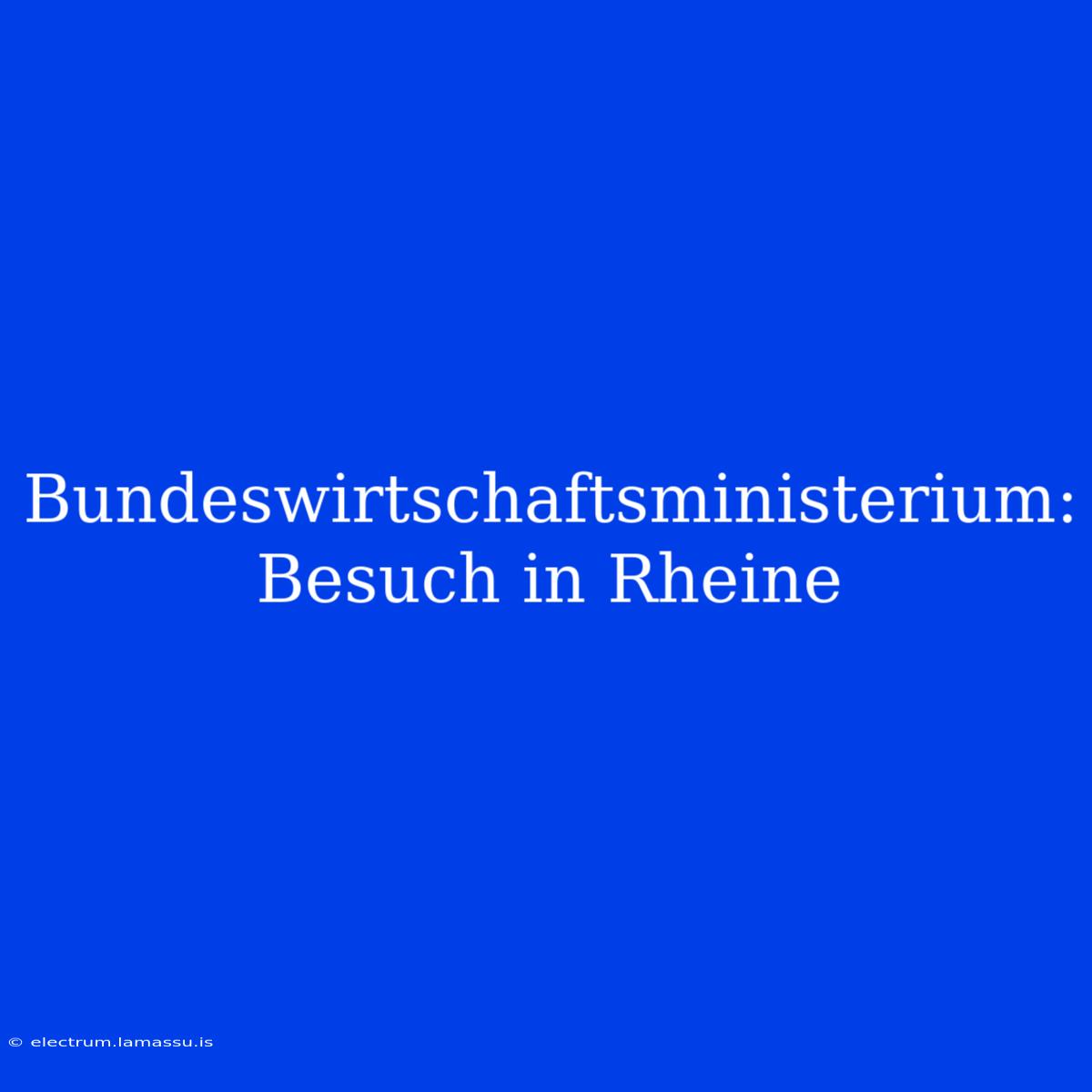 Bundeswirtschaftsministerium: Besuch In Rheine