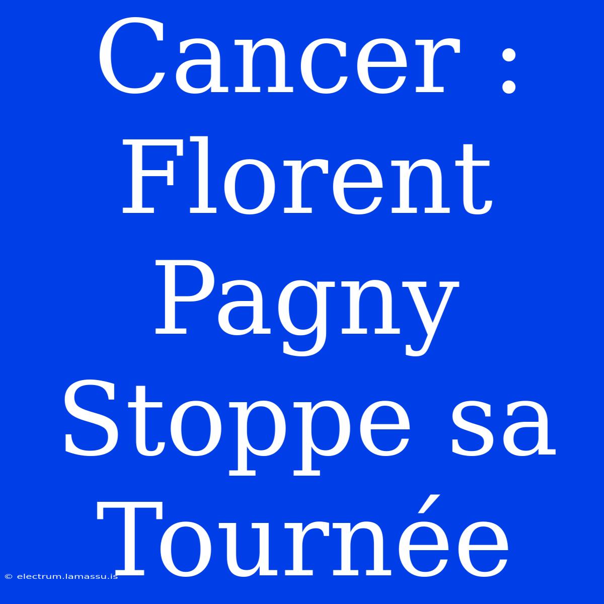 Cancer : Florent Pagny Stoppe Sa Tournée