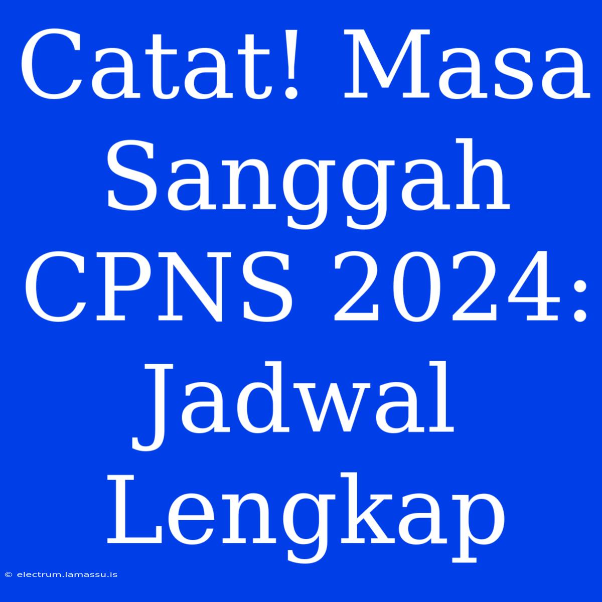 Catat! Masa Sanggah CPNS 2024: Jadwal Lengkap