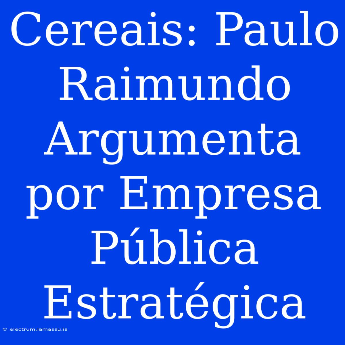 Cereais: Paulo Raimundo Argumenta Por Empresa Pública Estratégica