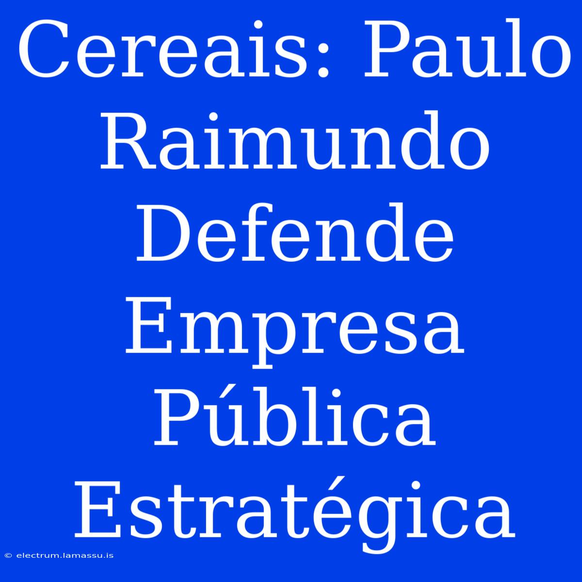 Cereais: Paulo Raimundo Defende Empresa Pública Estratégica