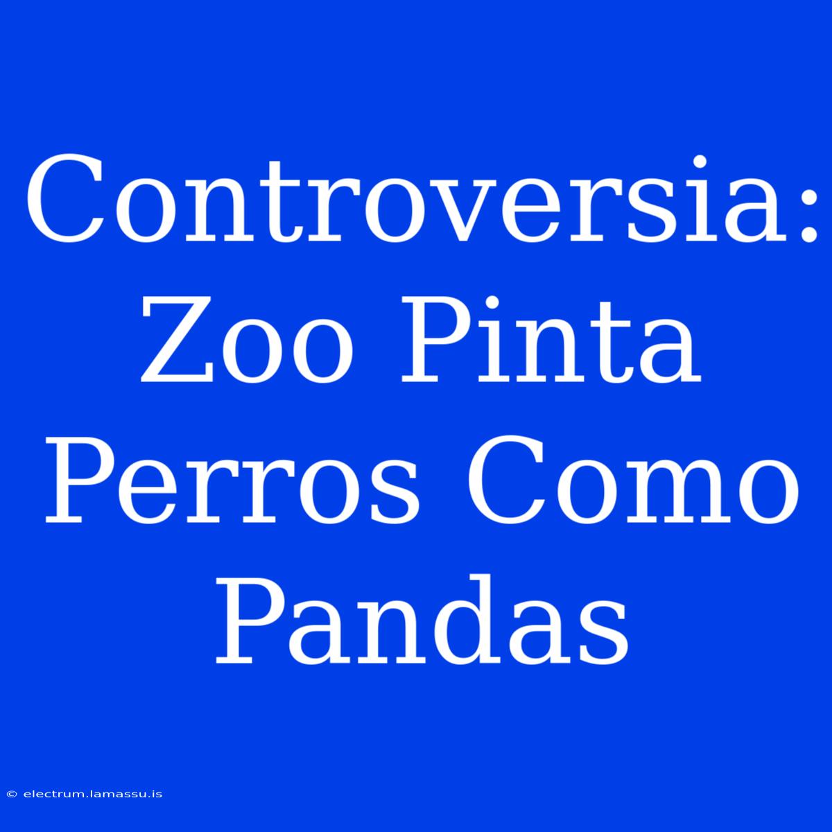 Controversia: Zoo Pinta Perros Como Pandas 