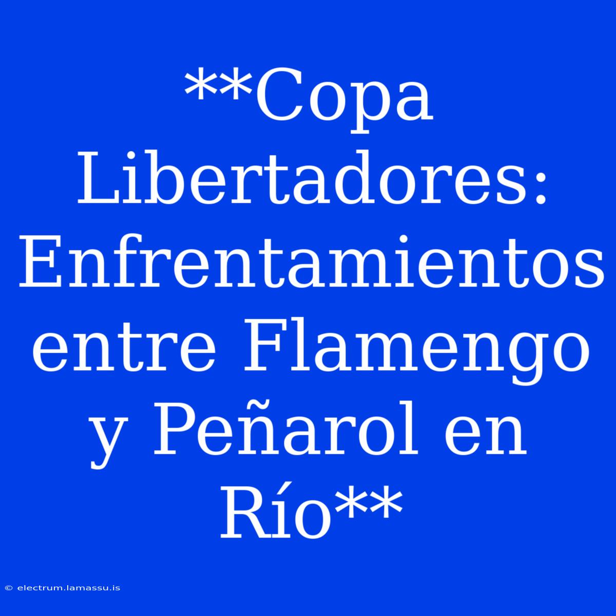 **Copa Libertadores: Enfrentamientos Entre Flamengo Y Peñarol En Río**