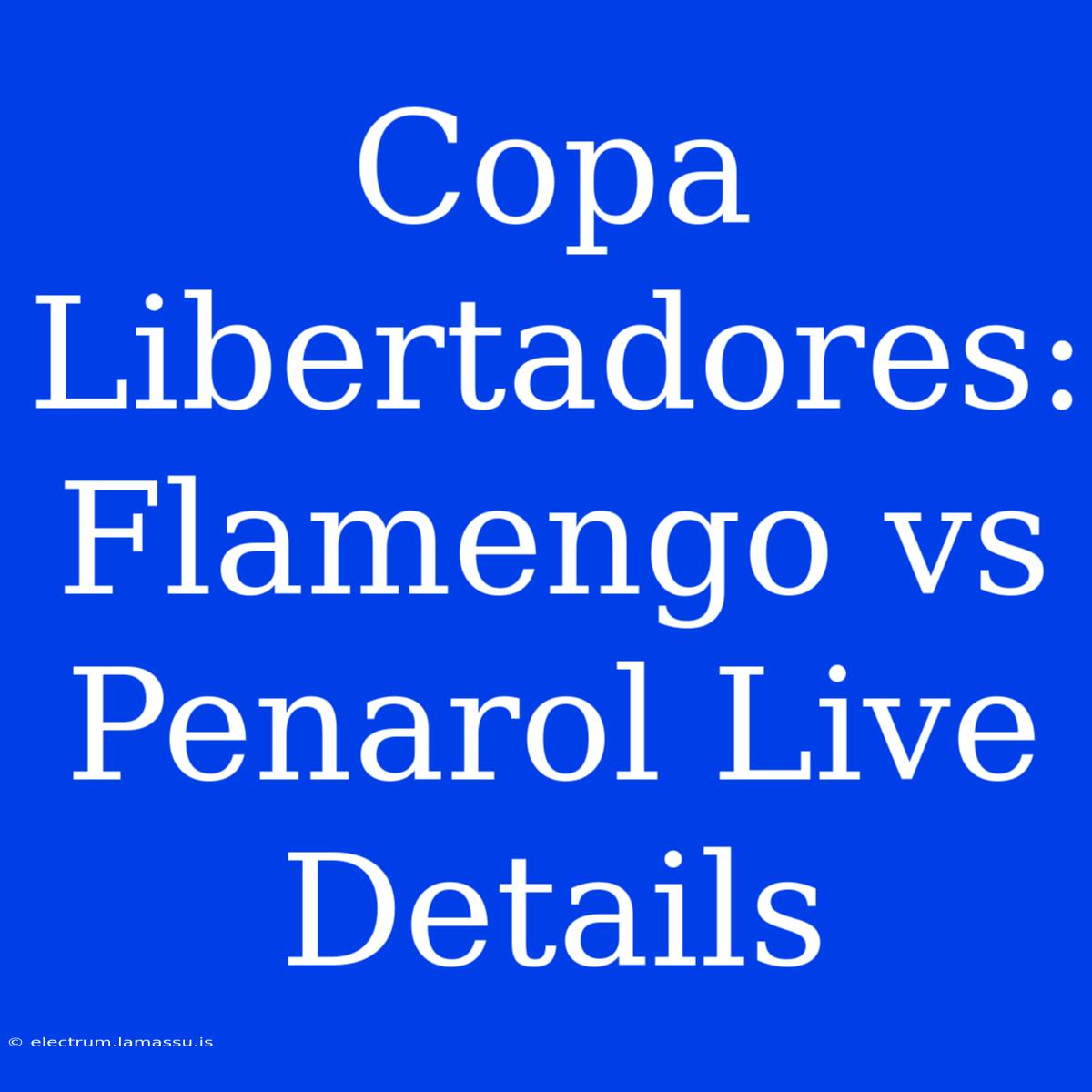 Copa Libertadores: Flamengo Vs Penarol Live Details