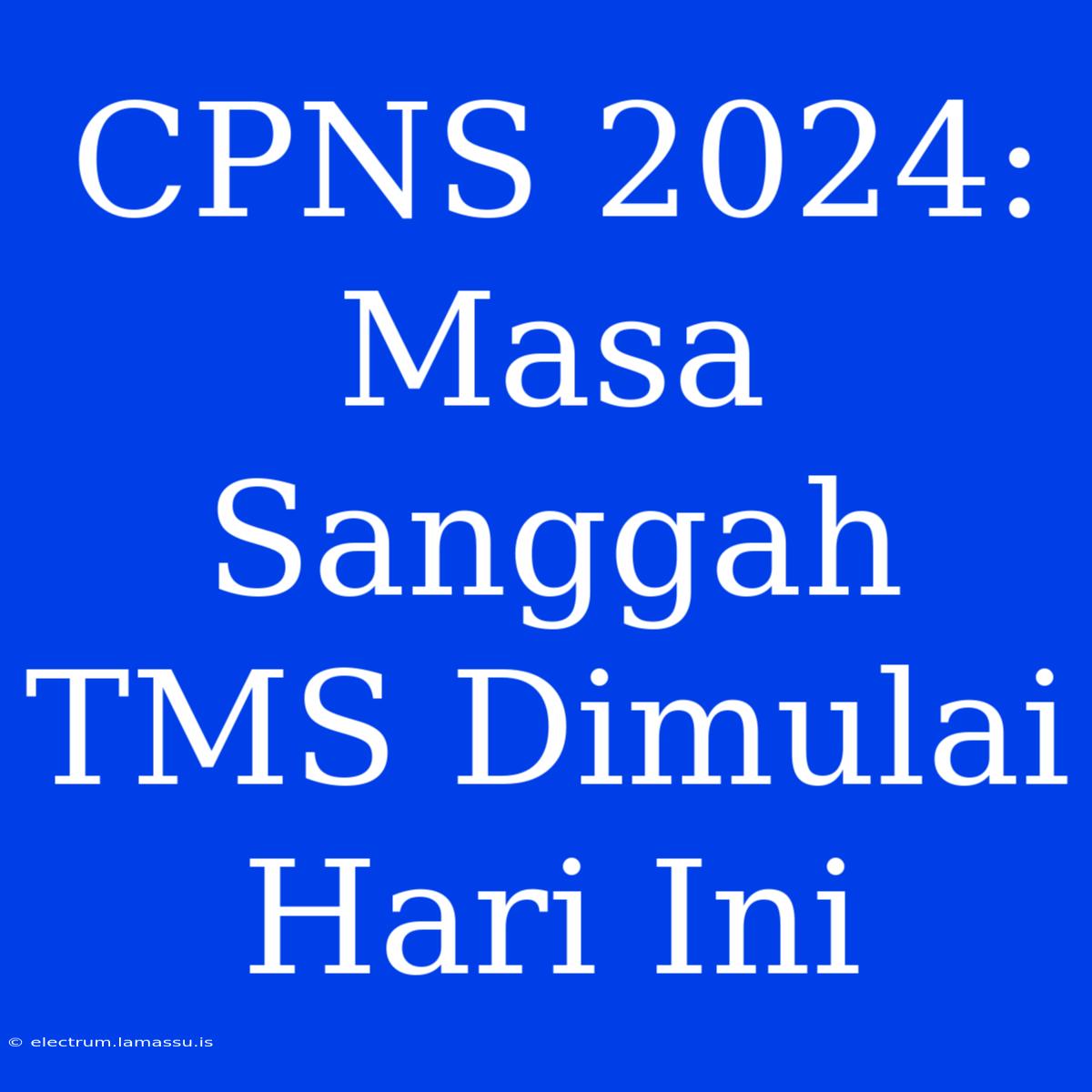 CPNS 2024: Masa Sanggah TMS Dimulai Hari Ini