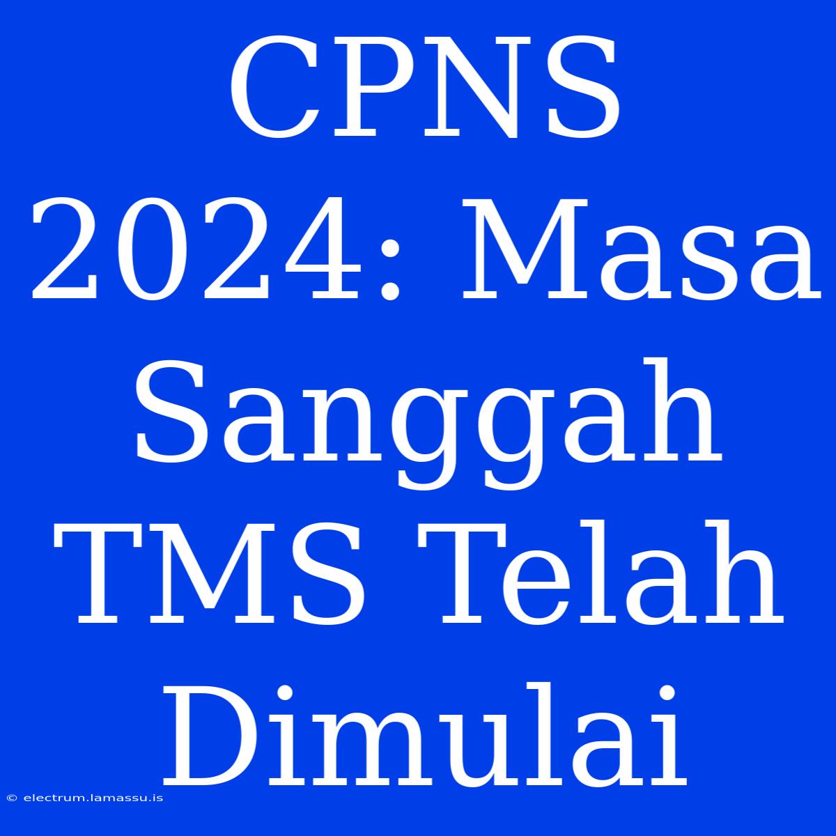 CPNS 2024: Masa Sanggah TMS Telah Dimulai