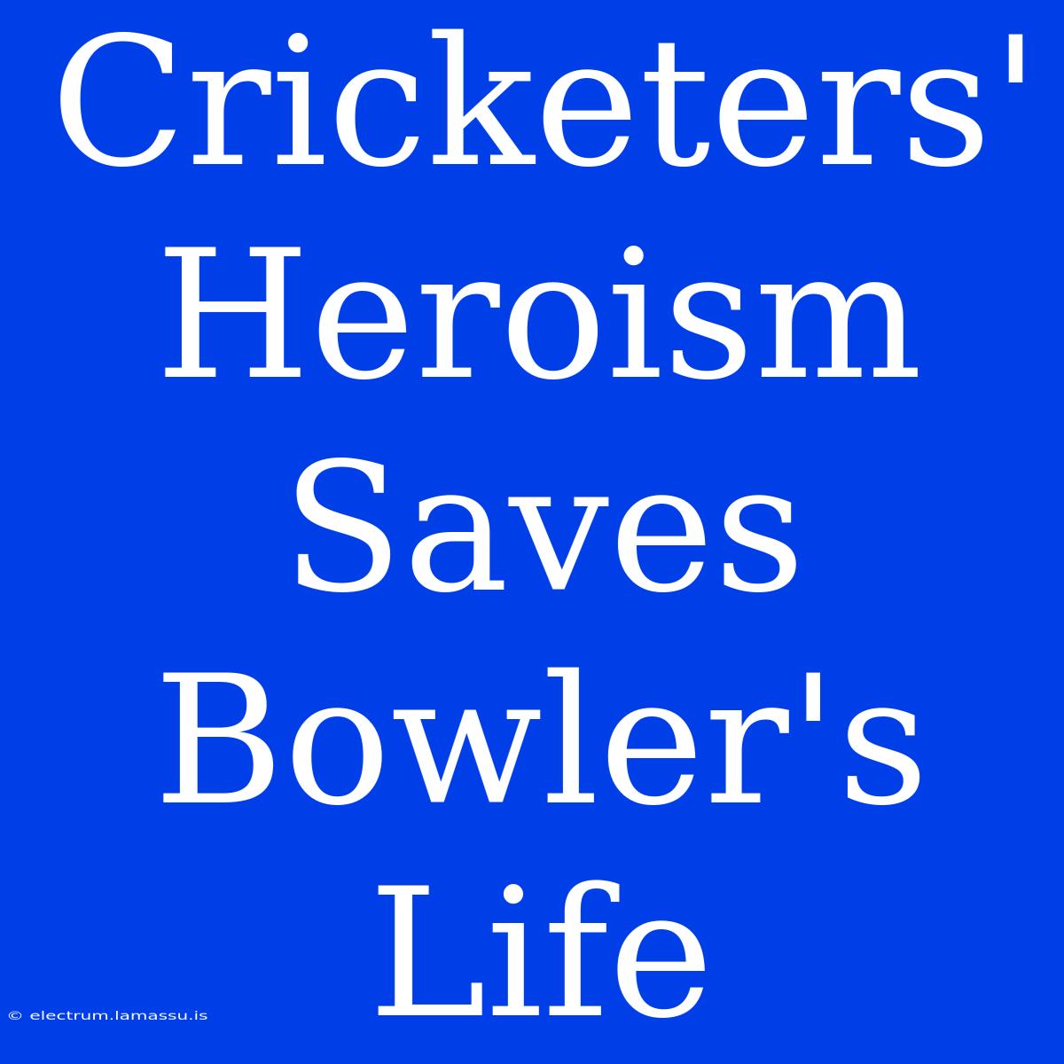 Cricketers' Heroism Saves Bowler's Life