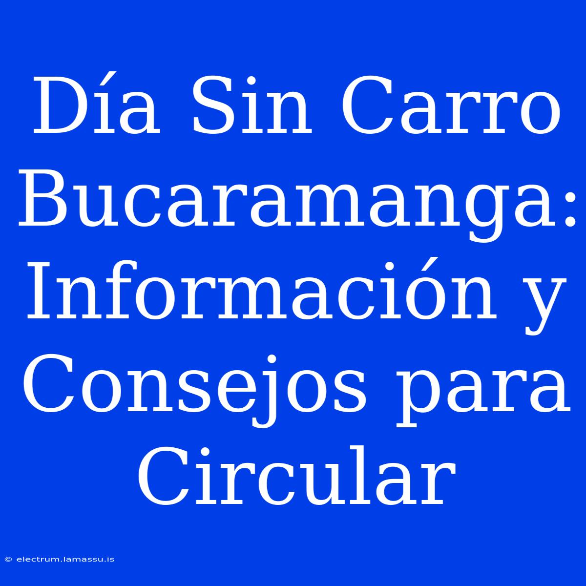 Día Sin Carro Bucaramanga: Información Y Consejos Para Circular