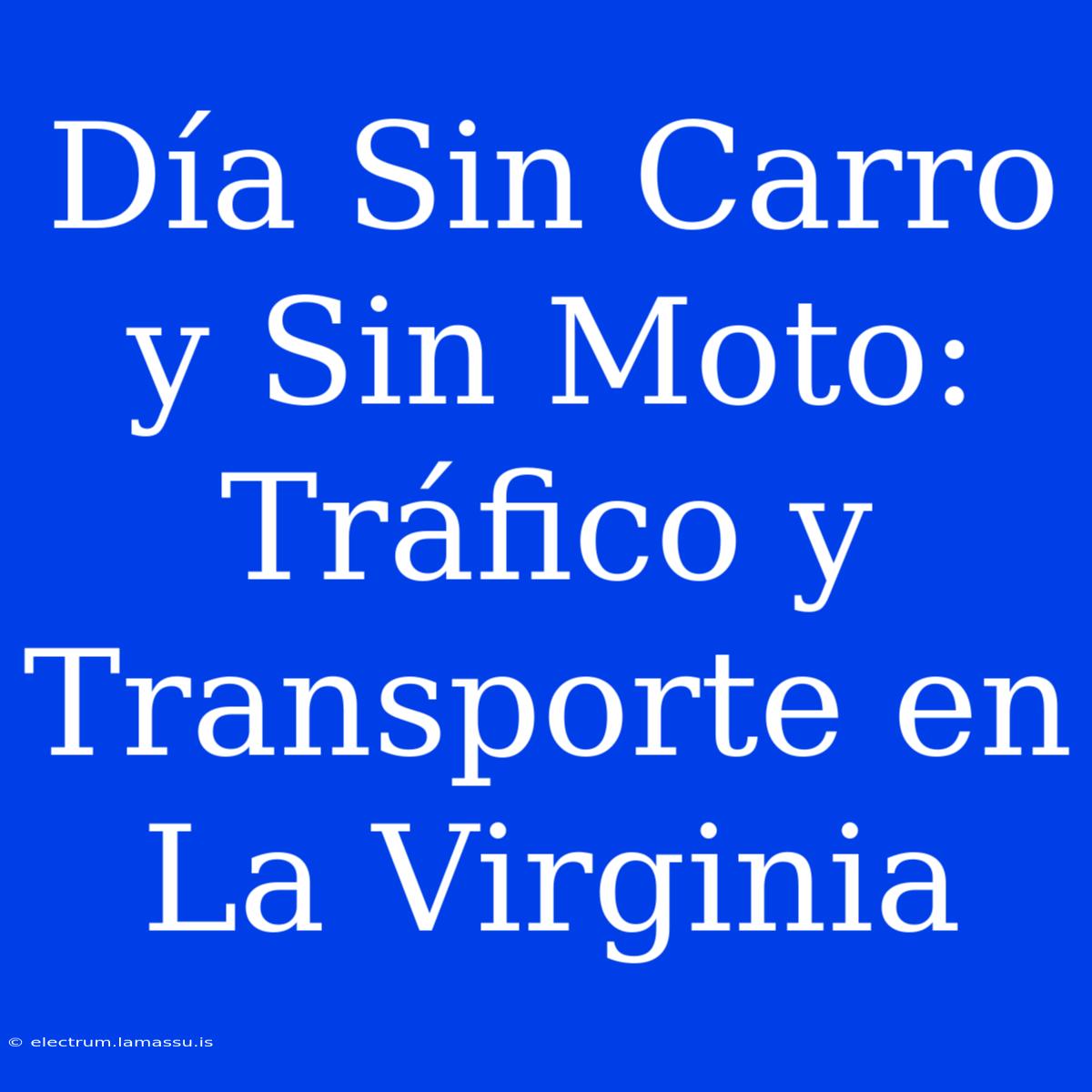 Día Sin Carro Y Sin Moto: Tráfico Y Transporte En La Virginia 