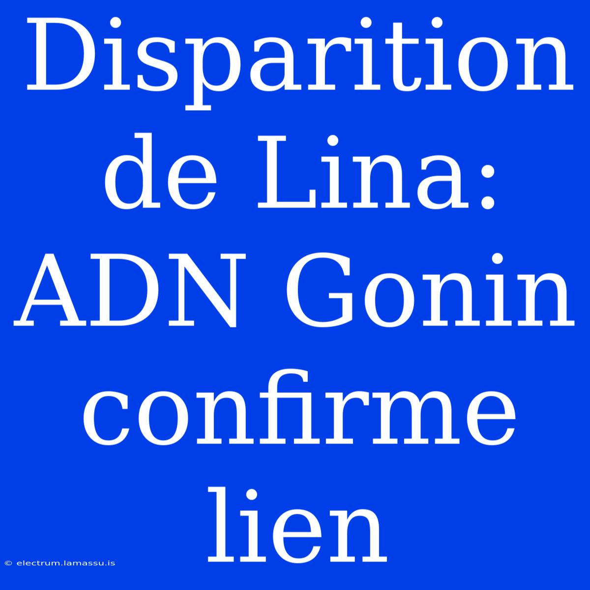 Disparition De Lina: ADN Gonin Confirme Lien