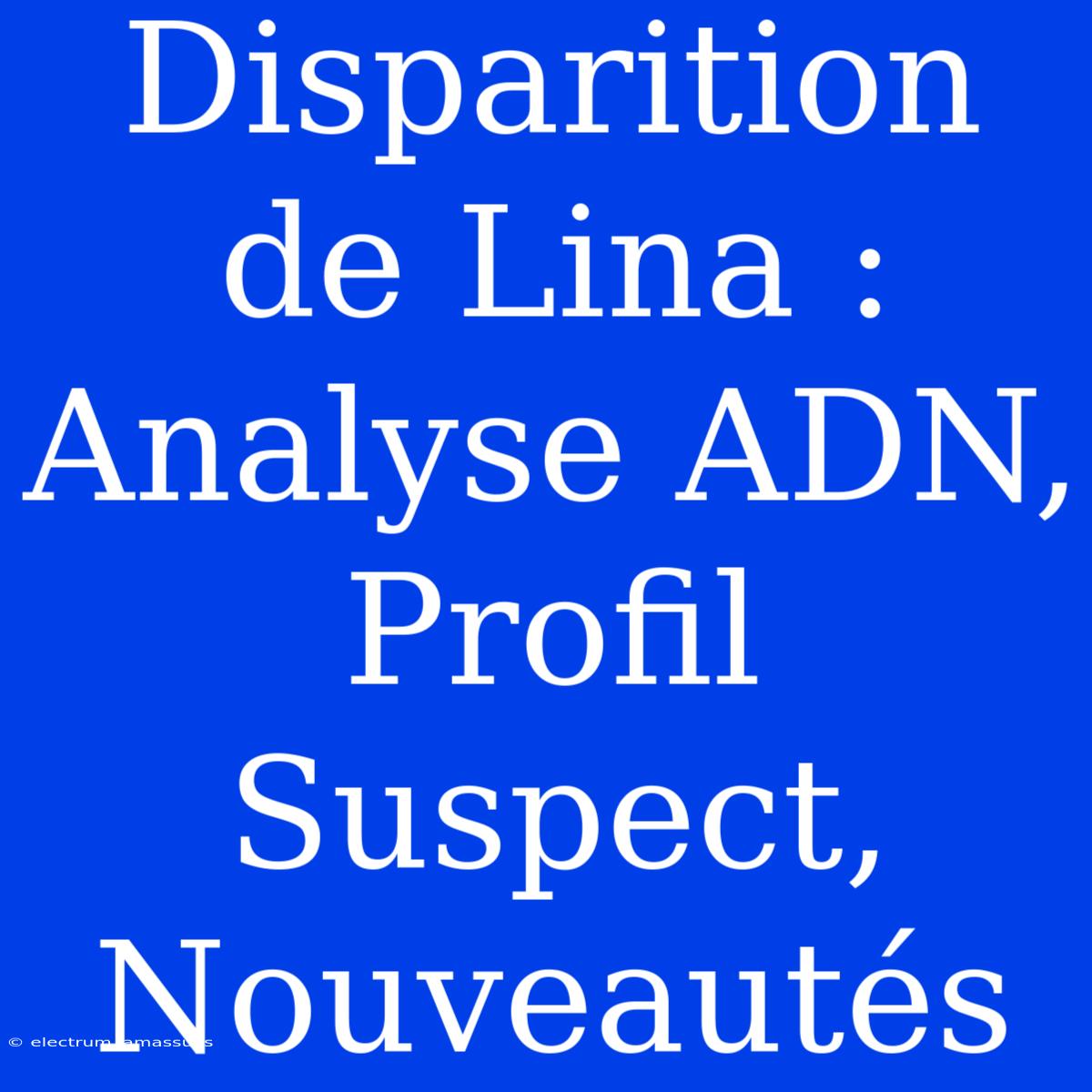 Disparition De Lina : Analyse ADN, Profil Suspect, Nouveautés