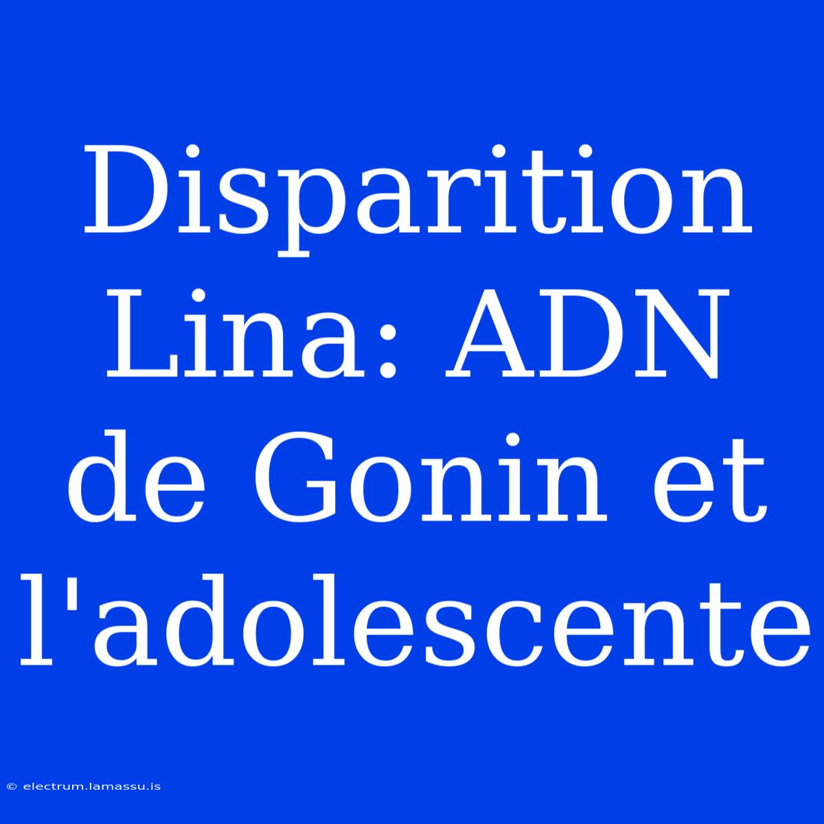 Disparition Lina: ADN De Gonin Et L'adolescente