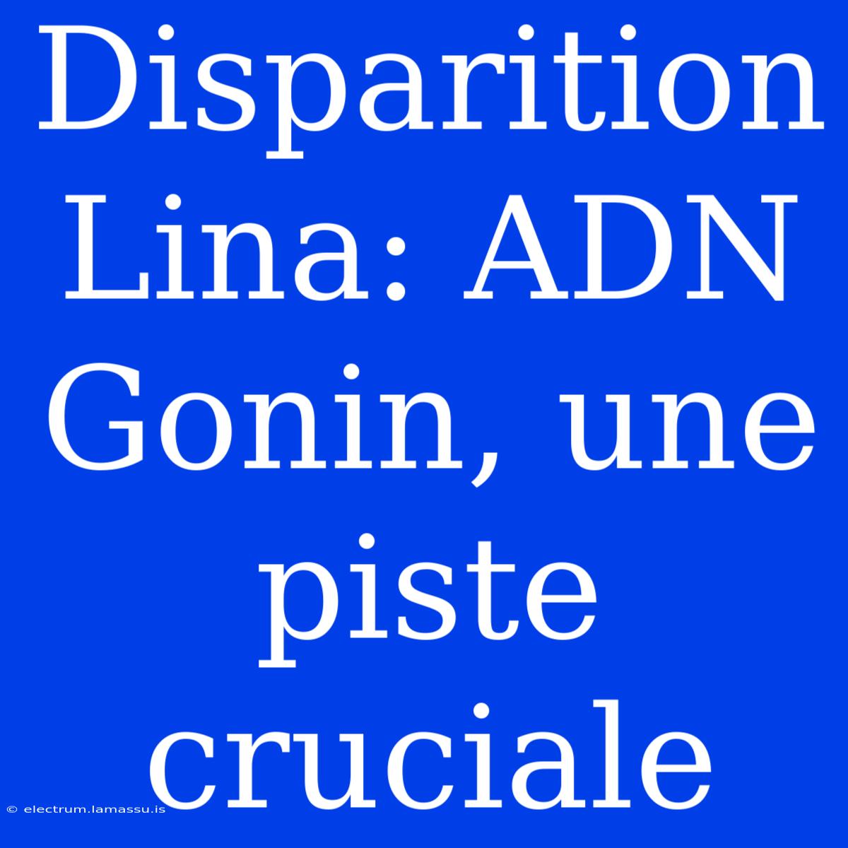 Disparition Lina: ADN Gonin, Une Piste Cruciale