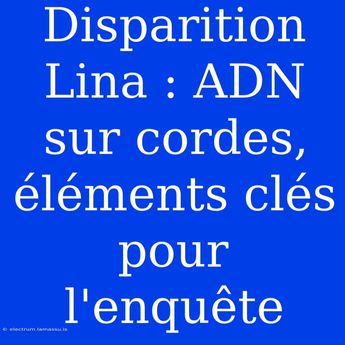 Disparition Lina : ADN Sur Cordes, Éléments Clés Pour L'enquête