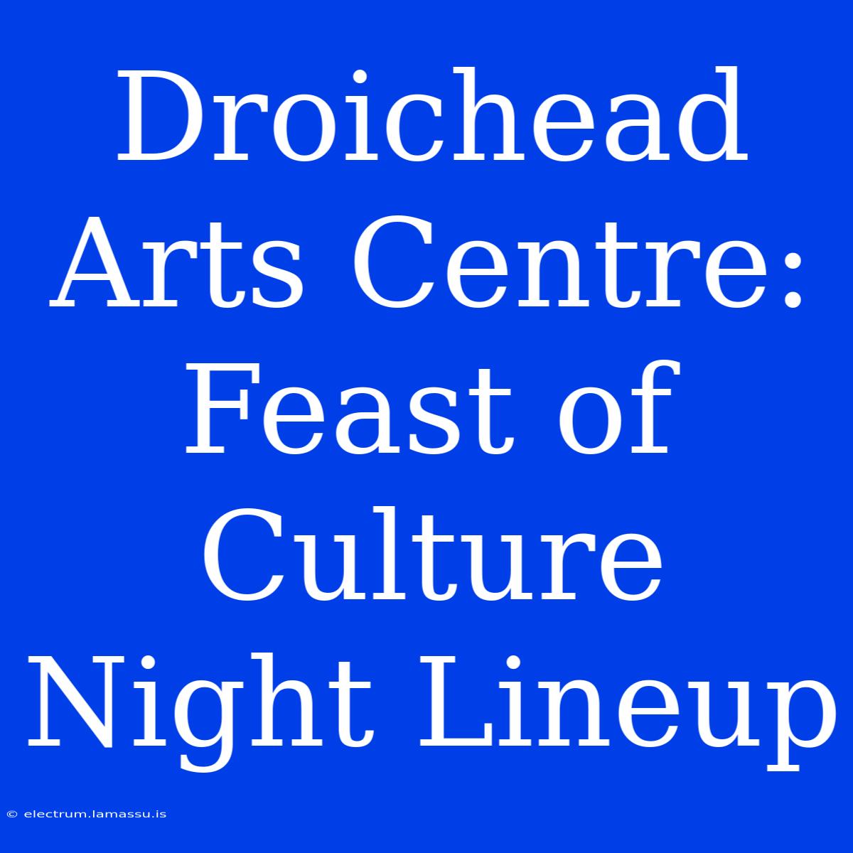 Droichead Arts Centre: Feast Of Culture Night Lineup