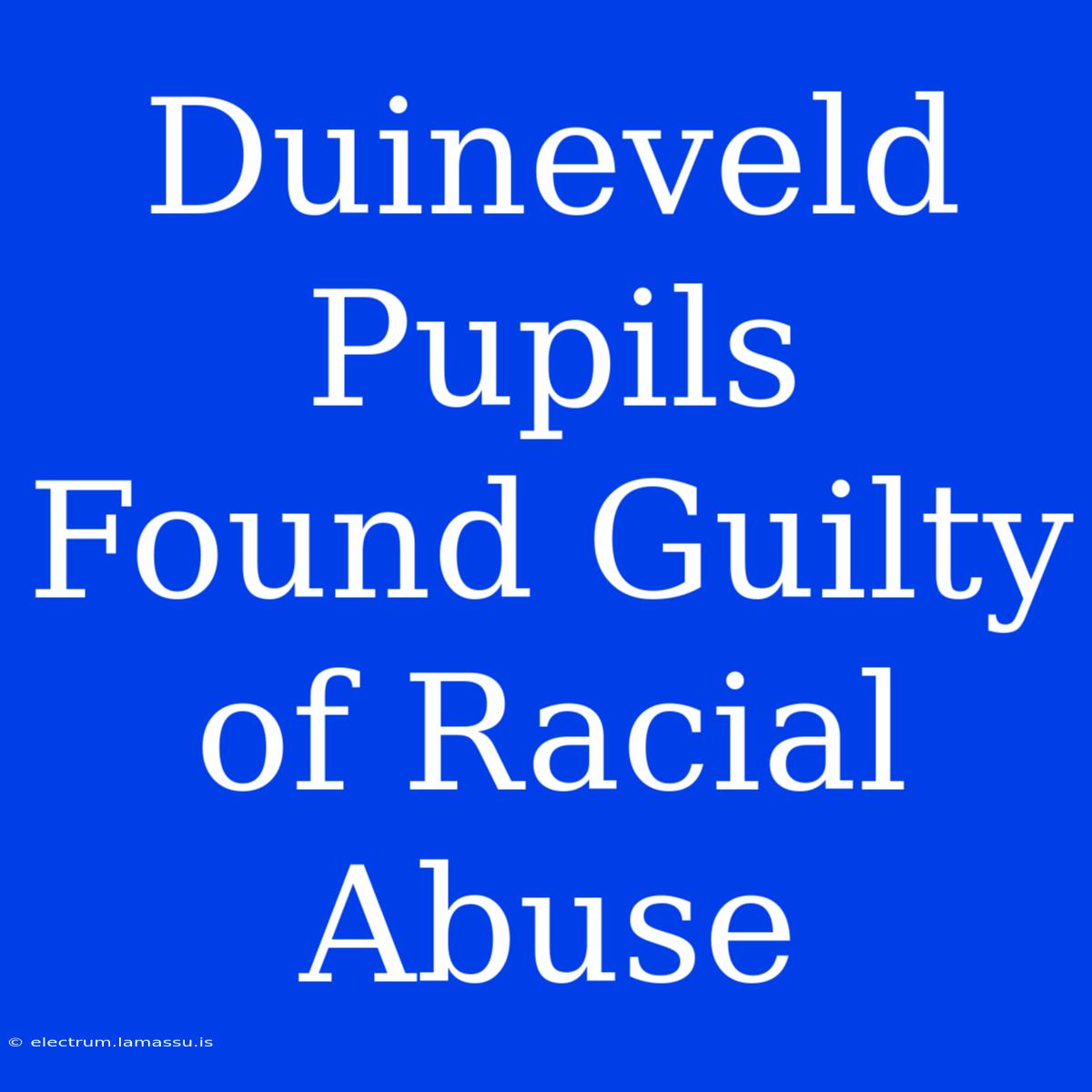 Duineveld Pupils Found Guilty Of Racial Abuse