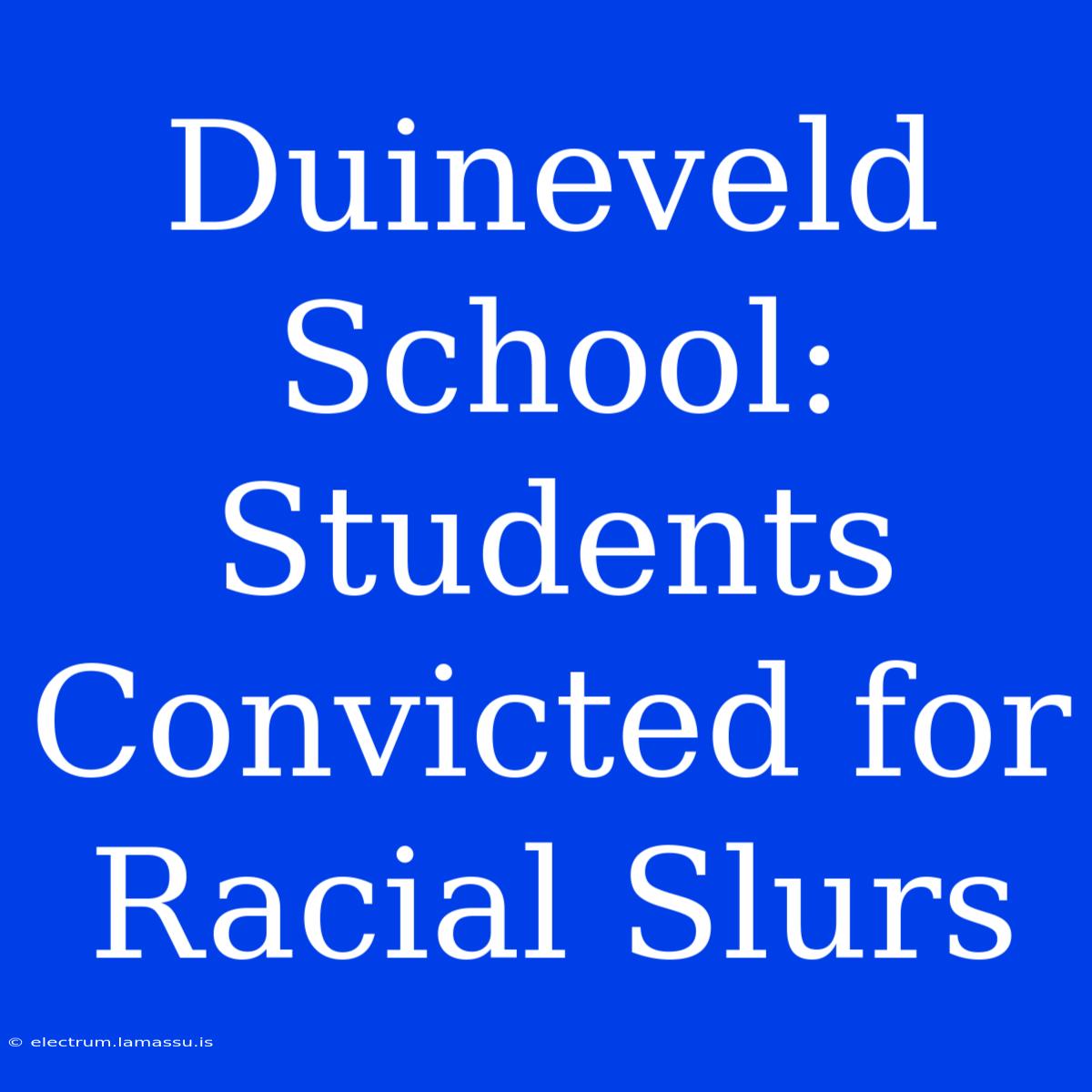 Duineveld School: Students Convicted For Racial Slurs