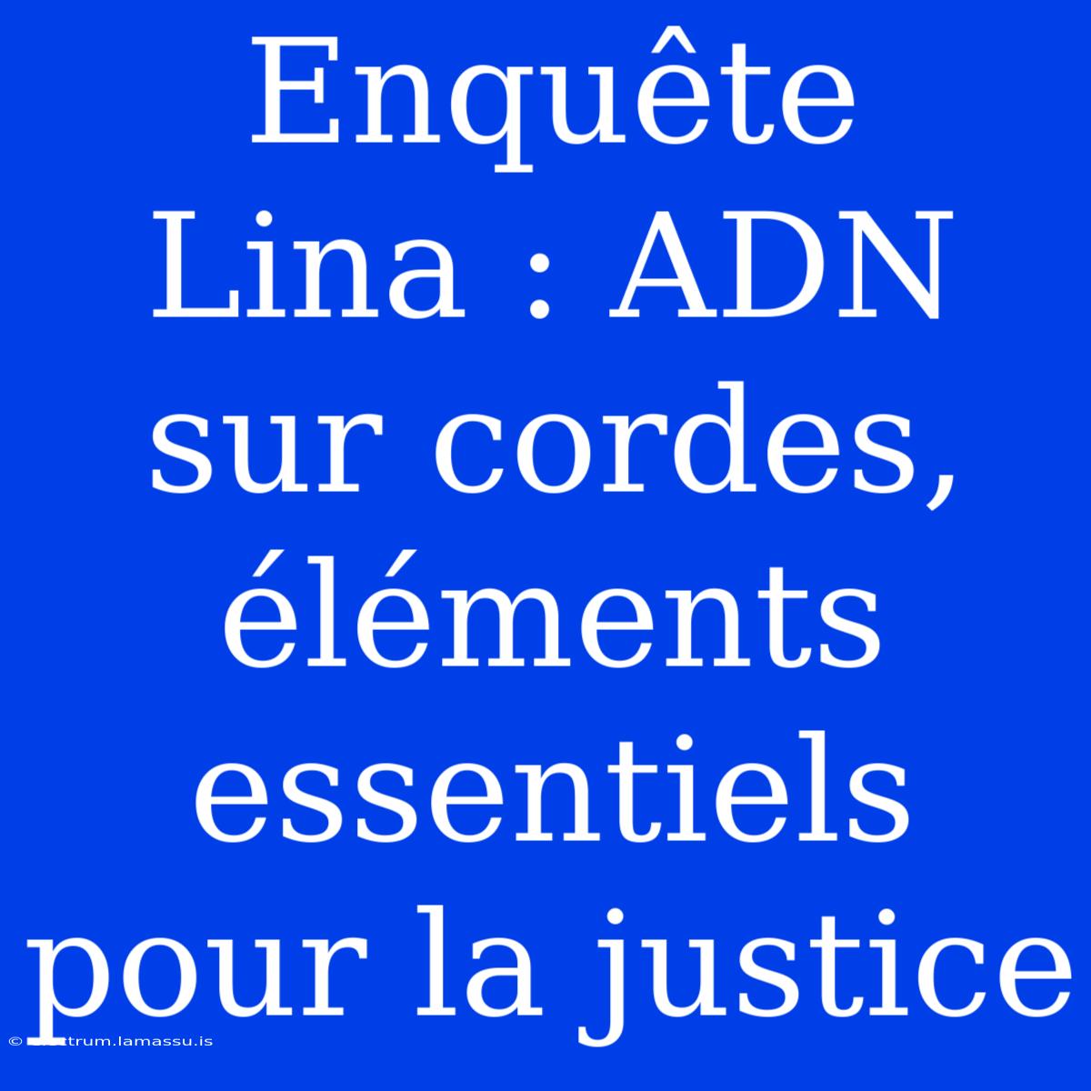 Enquête Lina : ADN Sur Cordes, Éléments Essentiels Pour La Justice