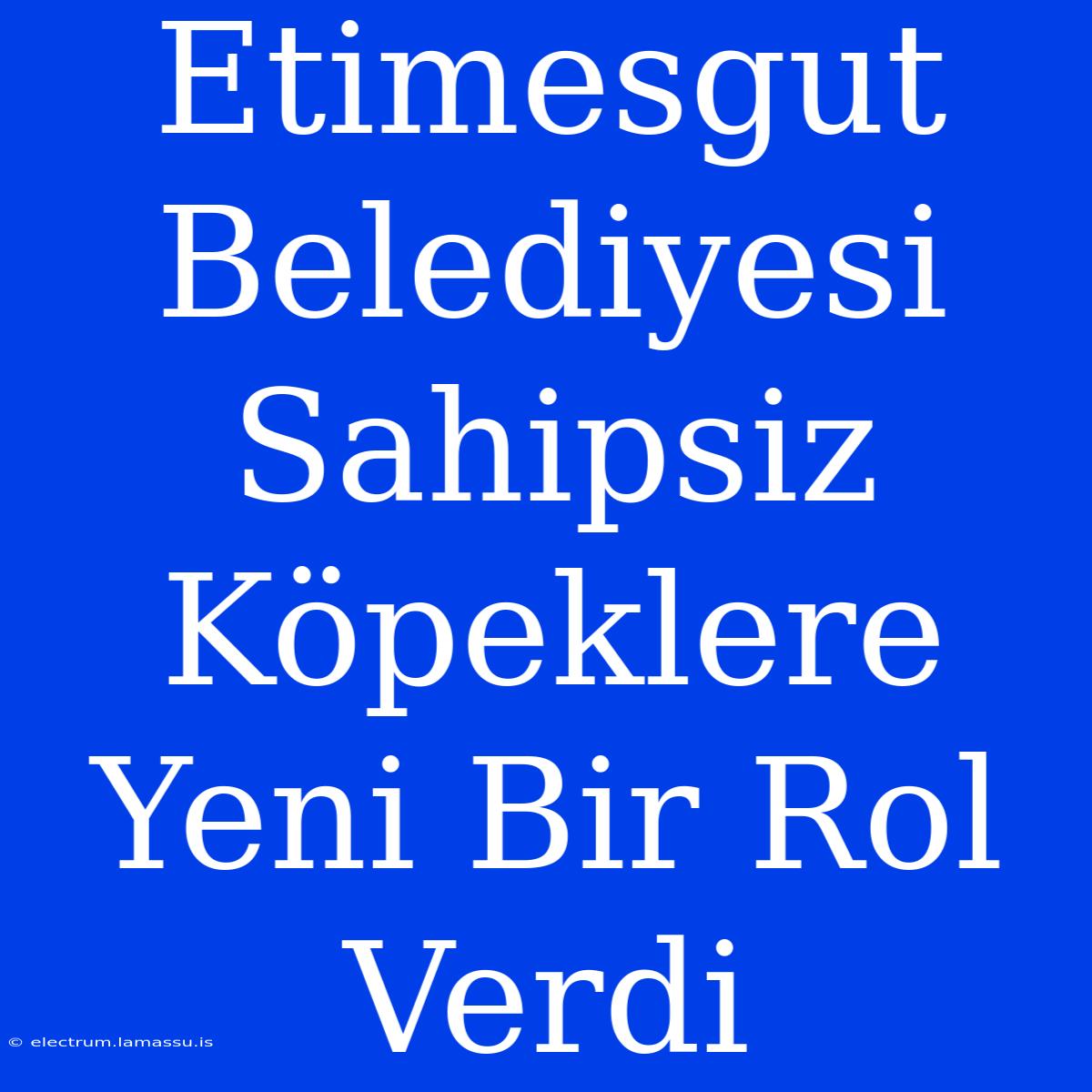 Etimesgut Belediyesi Sahipsiz Köpeklere Yeni Bir Rol Verdi 