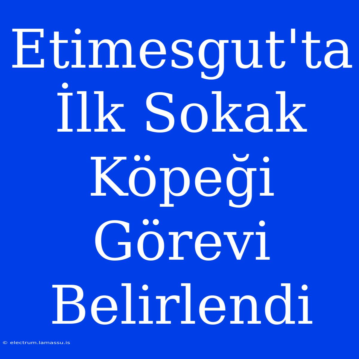 Etimesgut'ta İlk Sokak Köpeği Görevi Belirlendi 