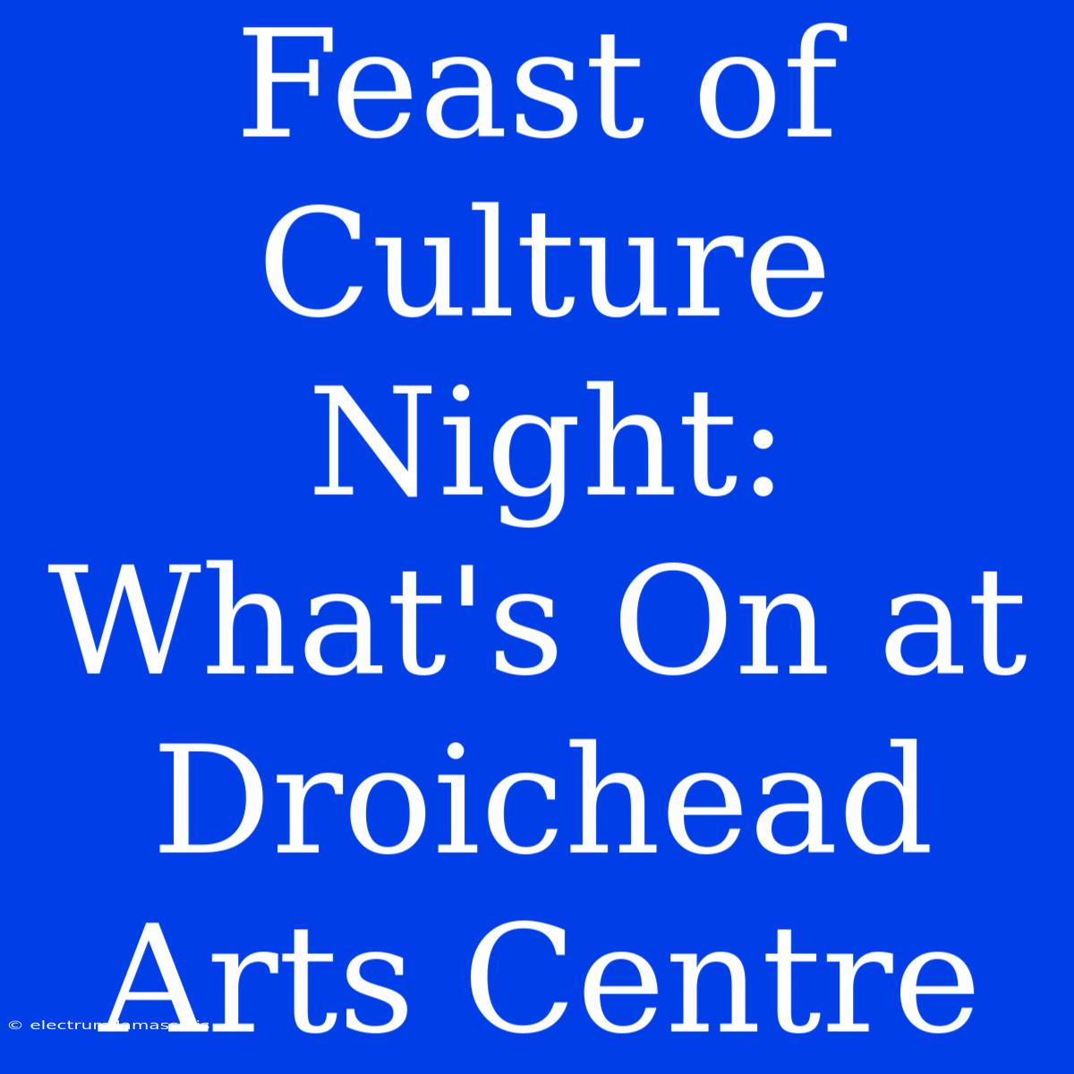 Feast Of Culture Night: What's On At Droichead Arts Centre