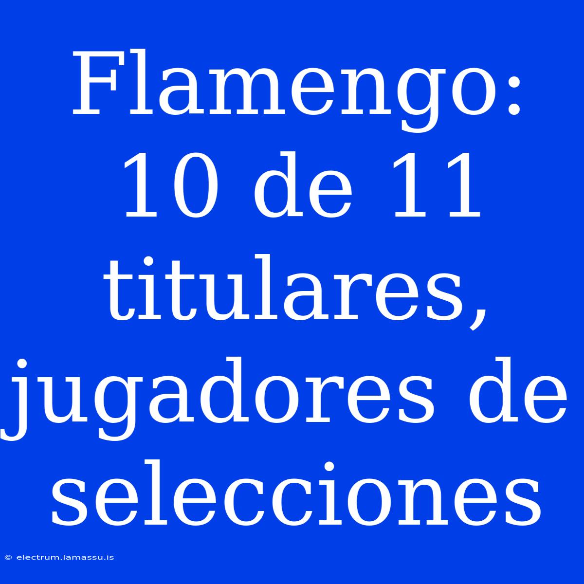 Flamengo: 10 De 11 Titulares, Jugadores De Selecciones