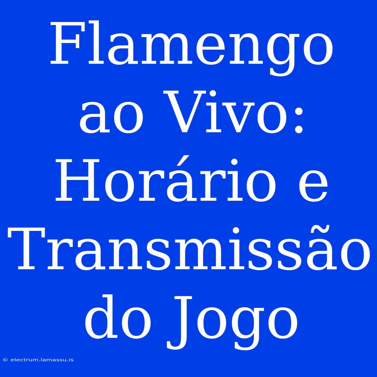 Flamengo Ao Vivo: Horário E Transmissão Do Jogo