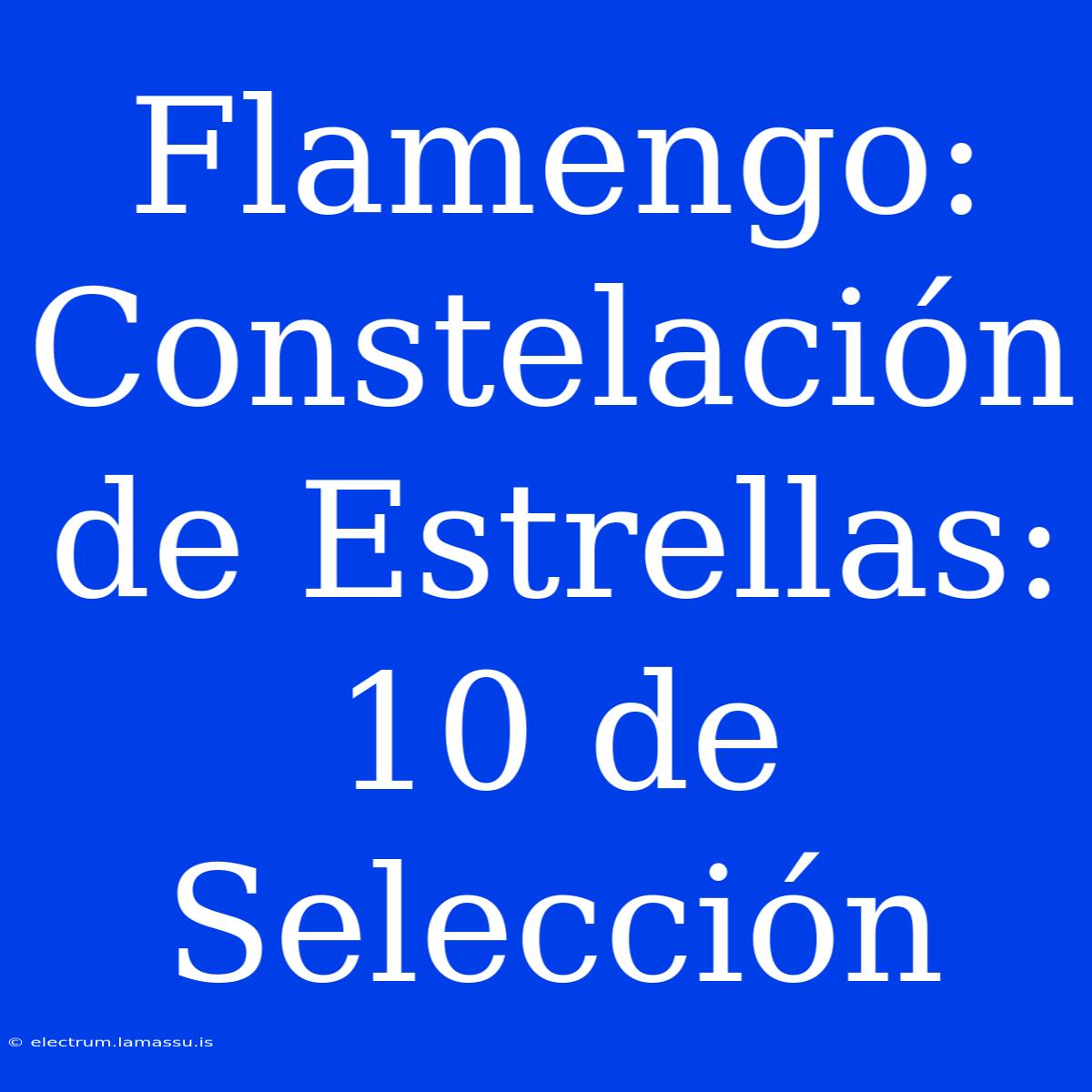 Flamengo: Constelación De Estrellas: 10 De Selección