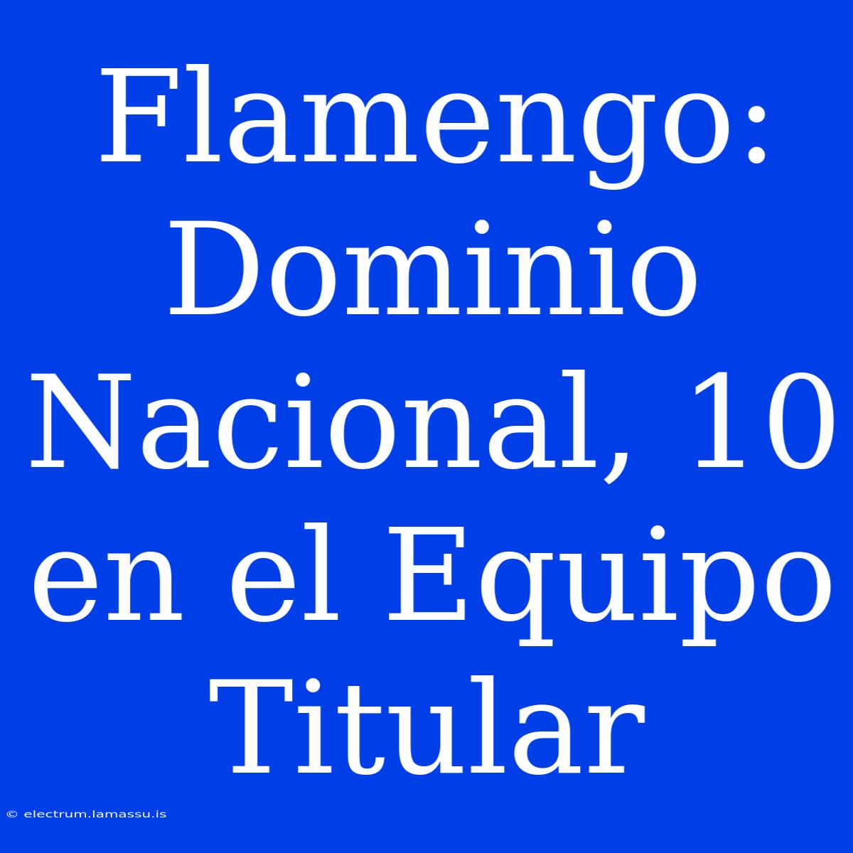 Flamengo: Dominio Nacional, 10 En El Equipo Titular