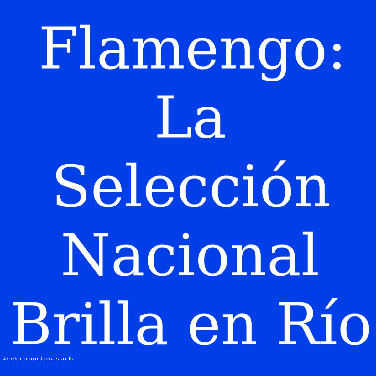 Flamengo: La Selección Nacional Brilla En Río