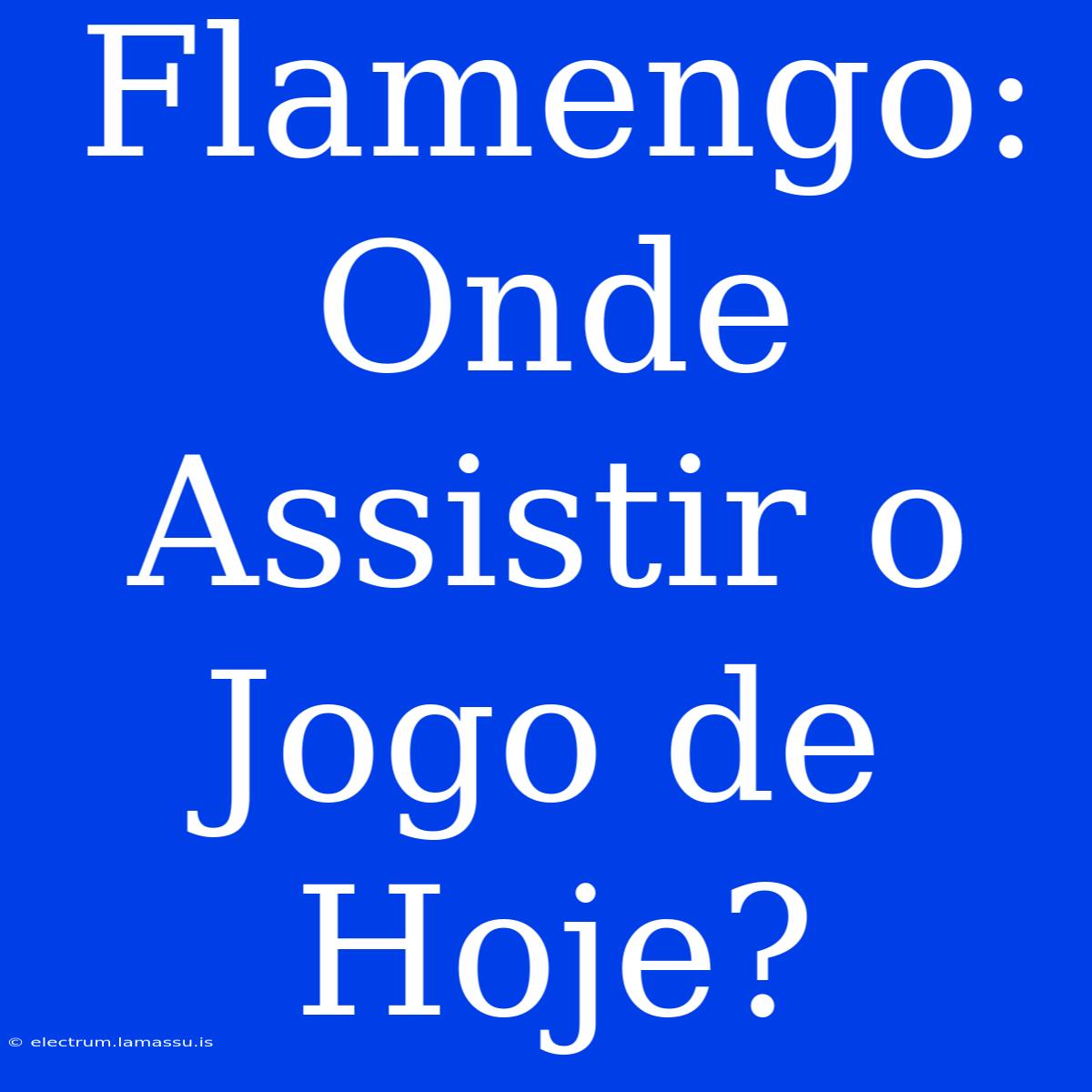 Flamengo: Onde Assistir O Jogo De Hoje?