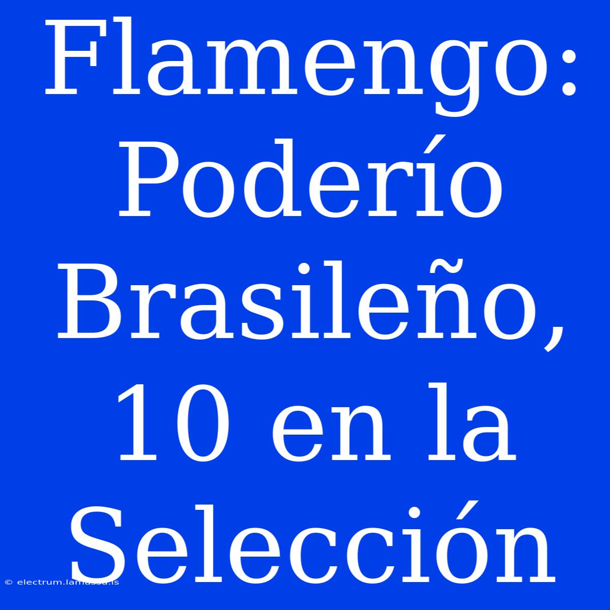 Flamengo: Poderío Brasileño, 10 En La Selección